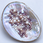 【live shell opening】Premium AK+ Combination Pearl Oysters💥💥💥